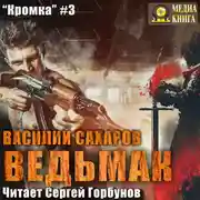 Постер книги Ведьмак