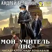 Постер книги Мой учитель Лис