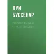Постер книги Приключения в стране бизонов