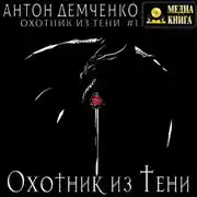 Постер книги Охотник из Тени