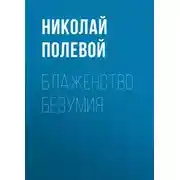 Постер книги Блаженство безумия