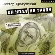 Постер книги Он упал на траву
