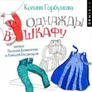Постер книги Однажды в шкафу