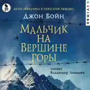 Постер книги Мальчик на вершине горы