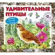 Постер книги Удивительные птицы