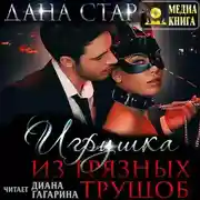 Постер книги Игрушка из грязных трущоб
