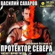 Постер книги Протектор севера