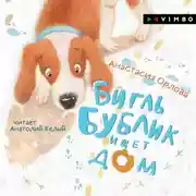 Постер книги Бигль Бублик ищет дом