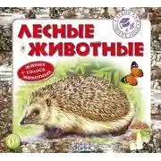 Постер книги Лесные животные