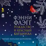 Постер книги Рождество и красный кардинал