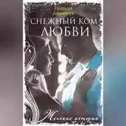 Постер книги Снежный ком любви