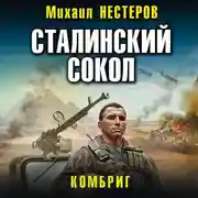 Постер книги Сталинский сокол. Комбриг