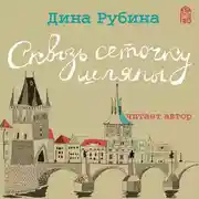 Постер книги Сквозь сеточку шляпы (сборник)