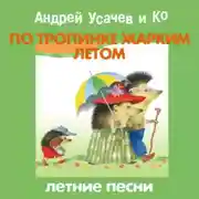 Постер книги По тропинке жарким летом
