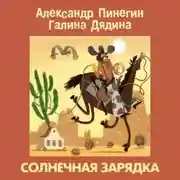 Постер книги Солнечная зарядка
