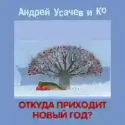 Постер книги Откуда приходит Новый год?