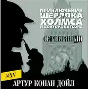Постер книги Серебряный