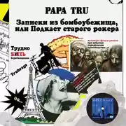 Постер книги Записки из бомбоубежища, или Подкаст старого рокера