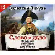 Постер книги Слово и дело. Часть 3