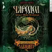 Постер книги Чародол. Чародольский браслет