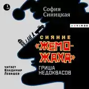 Постер книги Сияние «жеможаха». Гриша Недоквасов