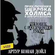 Постер книги Человек с рассеченной губой