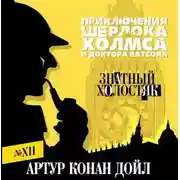 Постер книги Знатный холостяк