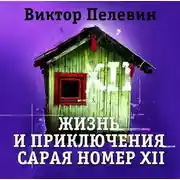 Постер книги Жизнь и приключения сарая номер XII