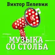 Постер книги Музыка со столба