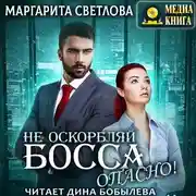 Постер книги Не оскорбляй босса, опасно!