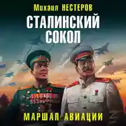 Постер книги Сталинский сокол. Маршал авиации