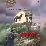 Постер книги Жеребенок