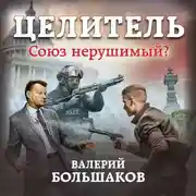 Постер книги Целитель. Союз нерушимый?