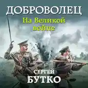 Постер книги Доброволец. На Великой войне