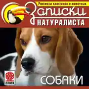 Постер книги Рассказы классиков о животных. Собаки