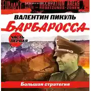 Постер книги Барбаросса. Часть 1. Большая стратегия