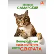 Постер книги Невероятные приключения кота Сократа