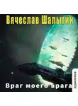 Вячеслав Шалыгин - Враг моего врага