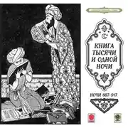 Постер книги Сказки тысячи и одной ночи. Ночи 867-917