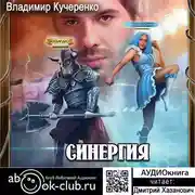 Постер книги Синергия