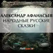 Постер книги Народные русские сказки