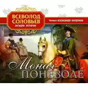 Постер книги Монах поневоле
