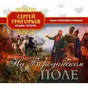 Постер книги На Бородинском поле