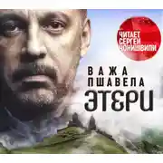 Постер книги Этери