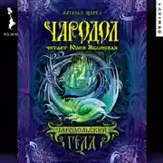 Постер книги Чародол. Чародольский град