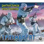 Постер книги Триумвират