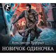 Постер книги Новичок-одиночка