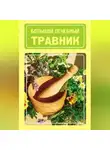 Иван Дубровин - Большой лечебный травник