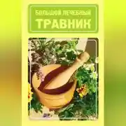 Постер книги Большой лечебный травник