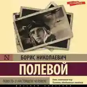 Постер книги Повесть о настоящем человеке